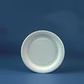 100 Pappteller rund � 15 cm weiss Einwegteller
