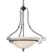 DD-671-30 Arago 3Lt Pendant Royal Bronze by Dolan Designs