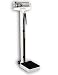 Detecto Mechanical Eye-Level Dual Pysician Scale with Height Rod + Wheels, Model 338, in Lb + Kg