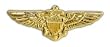 Navy Pilot Wings Small Pin