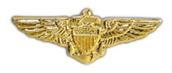 Navy Pilot Wings Small Pin