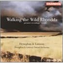 Heneghan & Lawson: Walking The Wild Rhondda-H&L Virtual Orchestra