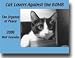 Search : CAT Lovers Against the Bomb Calendar 2006 (8.5' X 11')