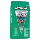Innova Adult Large Bites Dry Dog Food