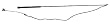 Roma Mini Lunge Whip