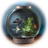 biOrb 30 lt coldwater