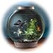 biOrb 30 lt coldwater