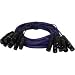 Pyle Ppsn-821 8-channel Xlr Male To Female Pa Snake Cable (20 Feet)