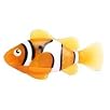 Robo Fish, 3