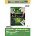 PCゲームBESTシリーズ Vol.74 上海ダイナスティ 2