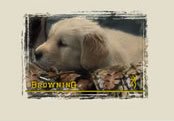Junior T-Shirt Junior T-Shirt Camo Puppy/Oat M