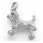 Cat Charm