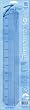 Zero Centering Ruler - 12 Inch