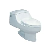 Elements of Design EVWC1992 Congress One Piece Toilet, White