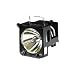 NEC MTLAMP600/800 - Replacement Projection Lamp and Filter - For Projector Models MTLAMP600 - MTLAMP800