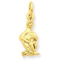 14kt Yellow Gold Aquarius Zodiac Charm