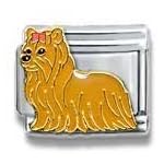 yorkie charm