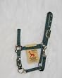 Hamilton Deluxe 3/4" Nylon Horse Halter with Adjustable Chin and Snap, Dark Green, Weanling/Large Pony (200-300 lbs)