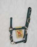 Hamilton Halter Company 2-3 3 4 Adj Chin Halter W Sna Hunter Green Weanling - 3DAS WNDG