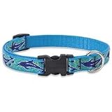 ZDISC Lupine NEW WAVE 3/4 Combo Collar (19-27)