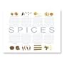Lifestyle Collections Glass Chopping Board - Spices(facts) - 1203SPICU