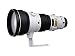 Nikon Nikkor - Teleobjectif - 400 mm - f/2.8 D ED-IF AF-S II - Nikon F