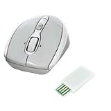 MSI Wireless Mouse SW-101 USB Silber