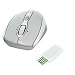 MSI Wireless Mouse SW-101 USB Silber