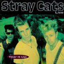 STRAY CATS - Please Make Up Your Mind Lyrics - Zortam Music