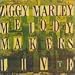 Ziggy Marley & the Melody Makers Live, Vol. 1
