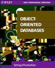 Object Oriented Databases (Wiley Professional Computing)