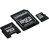 Kingston 8 GB microSDHC Class 4 Flash Memory Card with SD and miniSD Adapters SDC4/8GB-2ADP