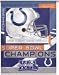 Indianapolis Colts Super Bowl 41 Champions Vertical Banner Flag