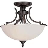 Ceiling Fixtures Dolan Designs 1175