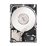 Seagate Savvio 300 GB Internal Hard Drive (ST9300603SS)