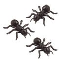 1 1/2'' MINI ANTS
