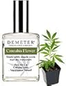 Demeter Cannabis Flower Cologne Spray for Women, 4 Ounce