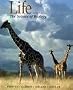 Life, The Science of Biology, 6th Edition