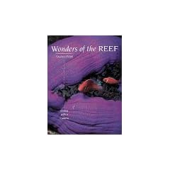 Wonders of the Reef: Diving with a Camera