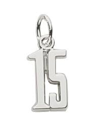 Rembrandt Charms Number 15 Charm