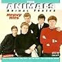 Animal Tracks: Heavy Hits