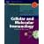 Cellular and Molecular Immunology, Updated Edition: With STUDENT CONSULT Online Access