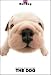 THE DOG Artlist - Bulldog - Hand Book - 6 Postcards