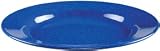 Coleman 10 1/4" Enamelware Dinner Plate with Wide Rim (Blue)