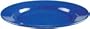 Coleman 10 1/4" Enamelware Dinner Plate with Wide Rim (Blue)