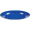 Coleman 10 1/4" Enamelware Dinner Plate with Wide Rim (Blue)