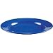 Coleman 10 1/4" Enamelware Dinner Plate with Wide Rim (Blue)