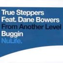 TRUE STEPPERS FEAT D BOWERS / BUGGIN