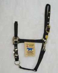 Hamilton Deluxe 3/4" Arabian Nylon Horse Halter with Adjustable Chin and Snap, Black, Average (800-1100 lbs)