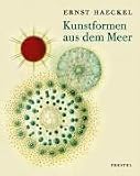 Kunstformen aus dem Meer: Der Radiolarien-Atlas von 1862 - Mit einer Einf�hrung von Olaf Breidbach - Ernst Haeckel